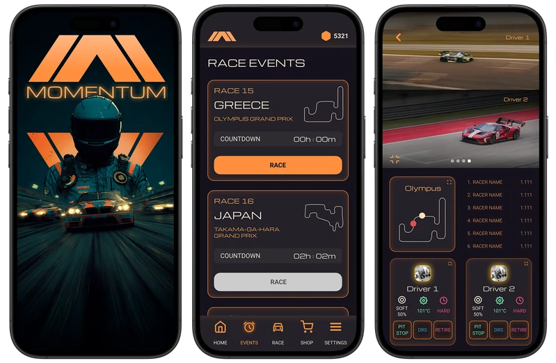 Momentum — UI design · Case study